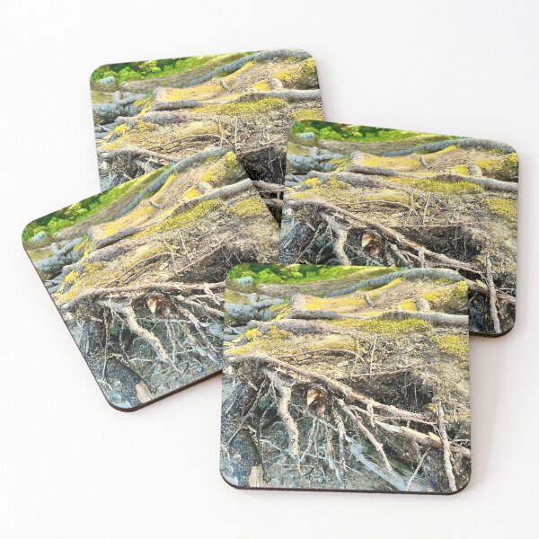 Item preview, Tree Roots (Prince Albert National Park) I designed and sold by Nebuliz.