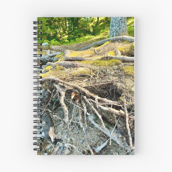 Item preview, Tree Roots (Prince Albert National Park) I designed and sold by Nebuliz.