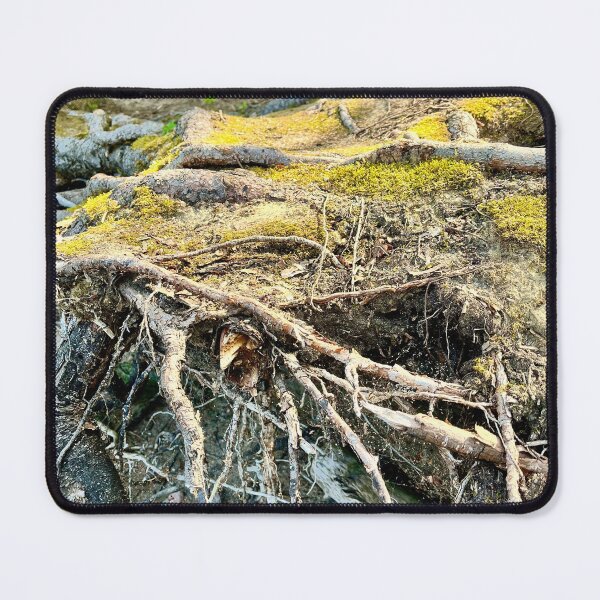 Item preview, Tree Roots (Prince Albert National Park) I designed and sold by Nebuliz.