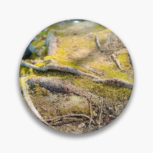Item preview, Tree Roots (Prince Albert National Park) II designed and sold by Nebuliz.