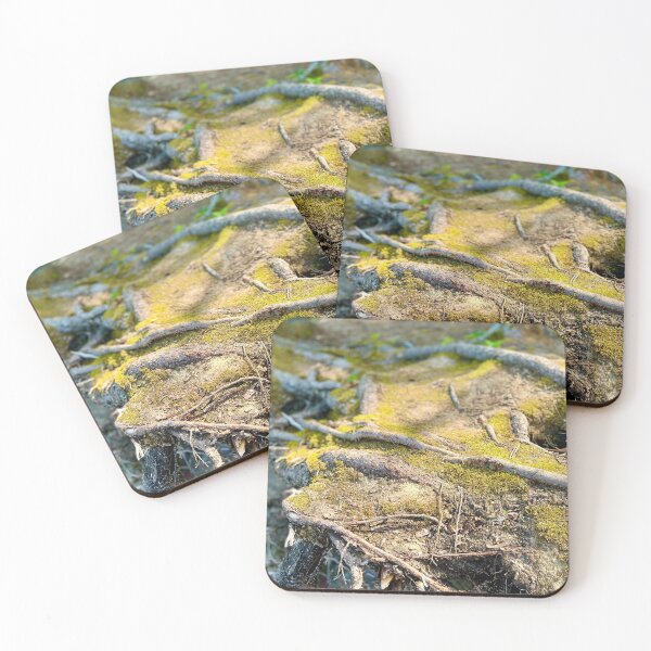 Item preview, Tree Roots (Prince Albert National Park) II designed and sold by Nebuliz.