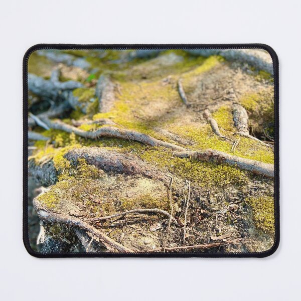Item preview, Tree Roots (Prince Albert National Park) II designed and sold by Nebuliz.