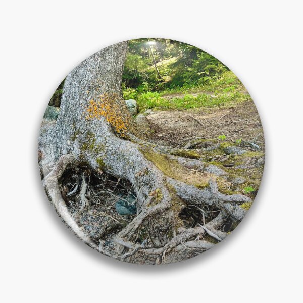 Item preview, Tree Roots (Prince Albert National Park) III designed and sold by Nebuliz.