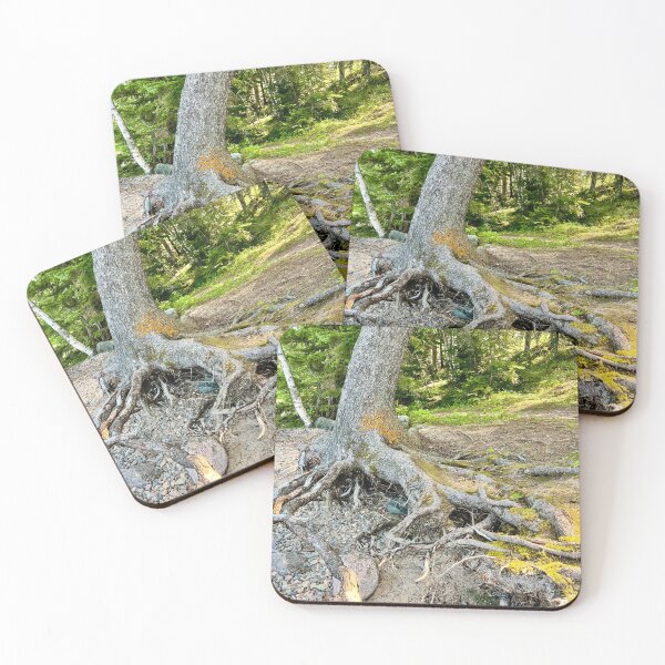 Item preview, Tree Roots (Prince Albert National Park) III designed and sold by Nebuliz.
