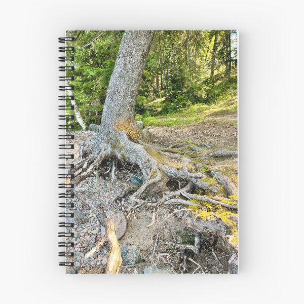 Item preview, Tree Roots (Prince Albert National Park) III designed and sold by Nebuliz.