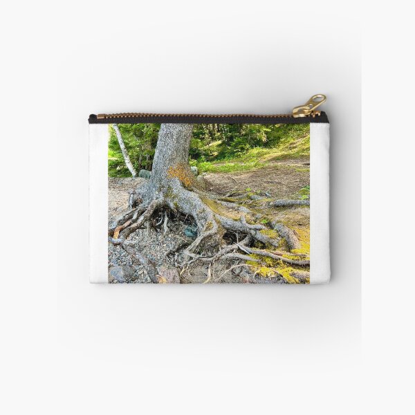 Item preview, Tree Roots (Prince Albert National Park) III designed and sold by Nebuliz.