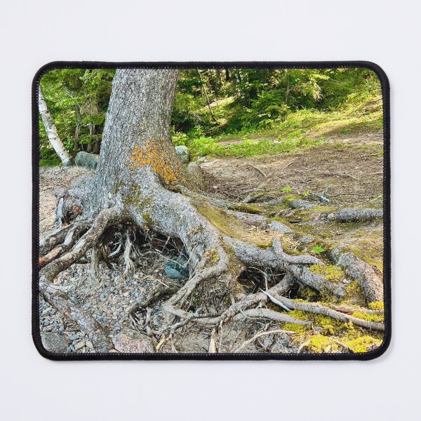Item preview, Tree Roots (Prince Albert National Park) III designed and sold by Nebuliz.