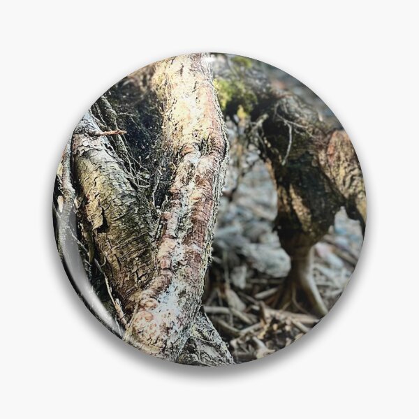 Item preview, Tree Roots (Prince Albert National Park) IV designed and sold by Nebuliz.