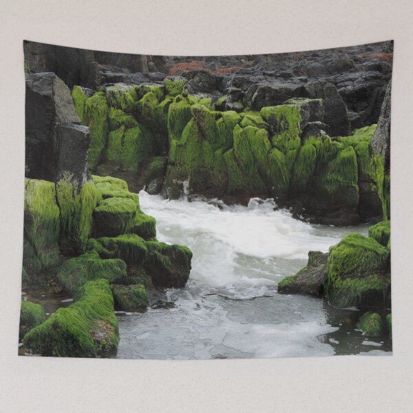 Item preview, Green Algae - Wyalup Rocky Point, Bunbury, Western Australia designed and sold by Marilyn Harris.