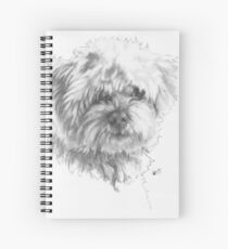 Maltipoo Spiralblock