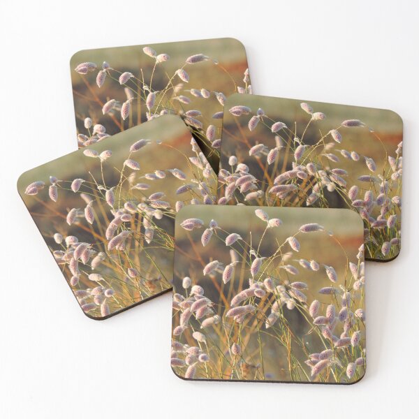 Item preview, Weeping Mulla Mulla (Ptilotus calostachyus) designed and sold by Marilyn Harris.
