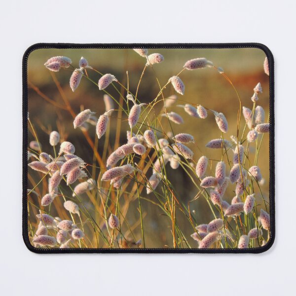 Item preview, Weeping Mulla Mulla (Ptilotus calostachyus) designed and sold by Marilyn Harris.