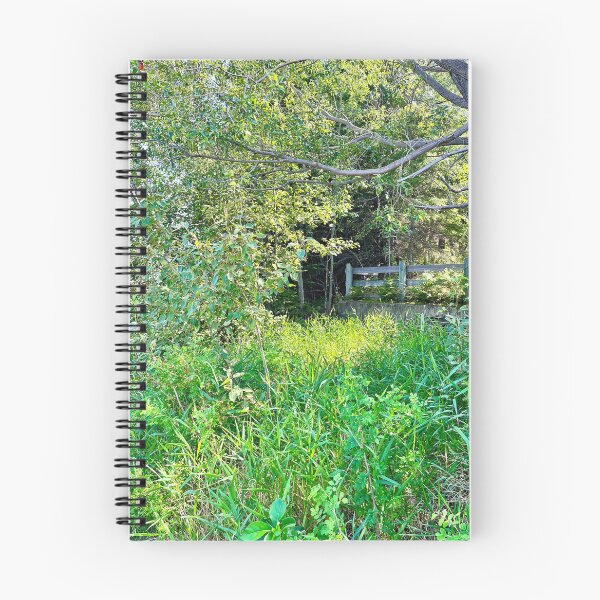 Item preview, Foliage (Prince Albert National Park) designed and sold by Nebuliz.