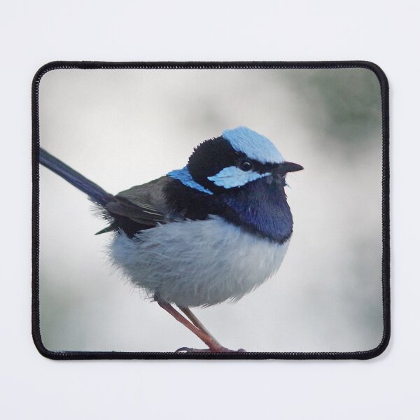 Item preview, Winter Wren designed and sold by Penny Kittel.