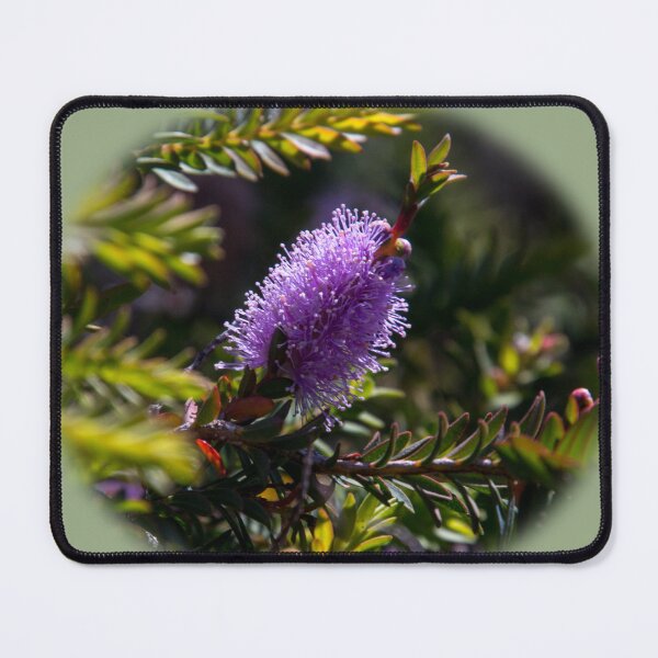 Item preview, Callistemon on the Heysen Trail designed and sold by indiafrankk.