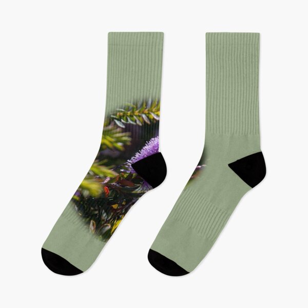 Item preview, Callistemon on the Heysen Trail designed and sold by indiafrankk.