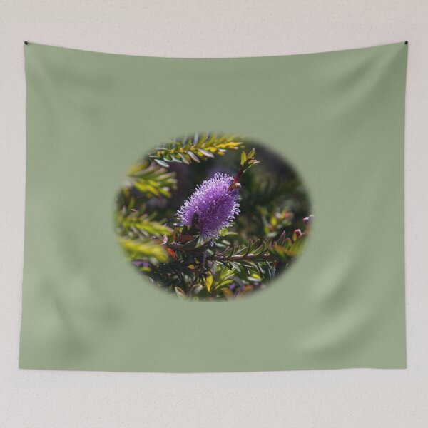 Item preview, Callistemon on the Heysen Trail designed and sold by indiafrankk.