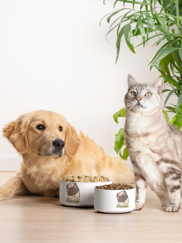 Alternate view of Pug that relaxes Pet Bowl