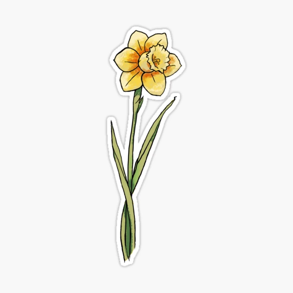 December Birth Flower Sticker - Narcissus