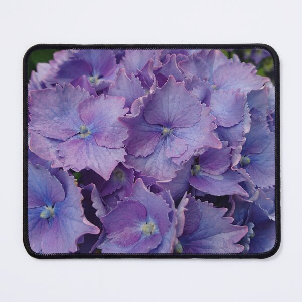 Item preview, Purple Hydrangea - common names Hydrangea or Hortensia designed and sold by Marilyn Harris.