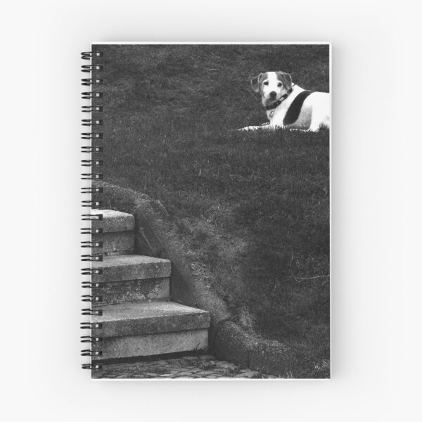 Item preview, ANTON ... designed and sold by Angelika  Vogel.