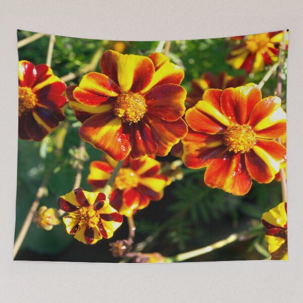 Item preview, Like little pinwheels designed and sold by B. Randi Bailey.