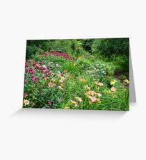 field of flowers Greeting Card