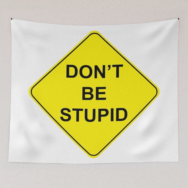 Item preview, Don't Be Stupid designed and sold by rsty11.