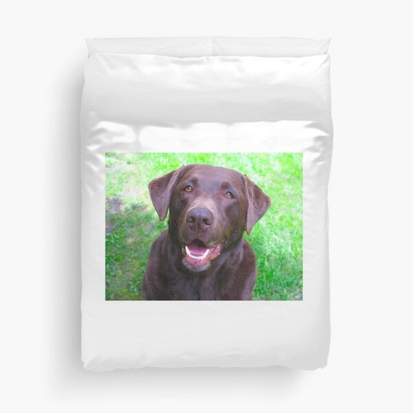 chocolate labrador duvet cover