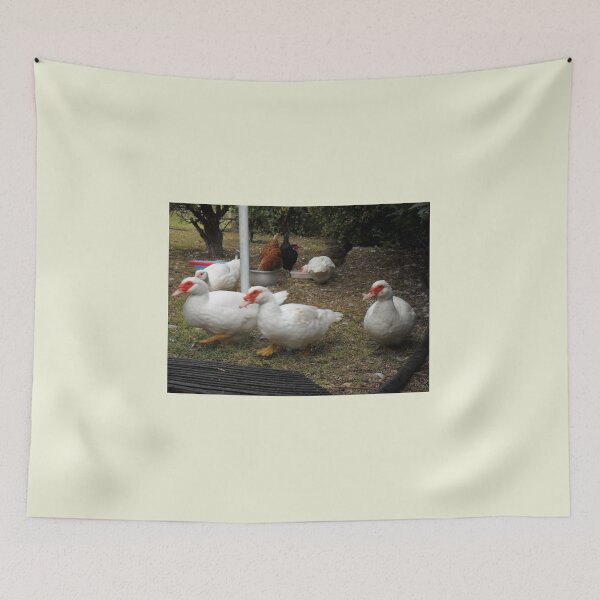 Item preview, Ducks on the move  designed and sold by kerrysart.