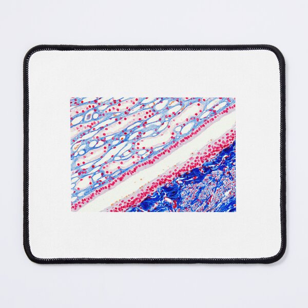 Item preview, Calyx designed and sold by Love Histology.