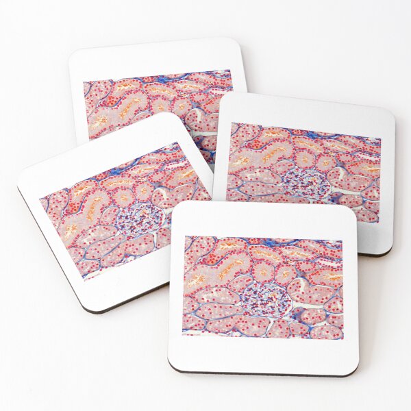 Item preview, Cortex designed and sold by Love Histology.