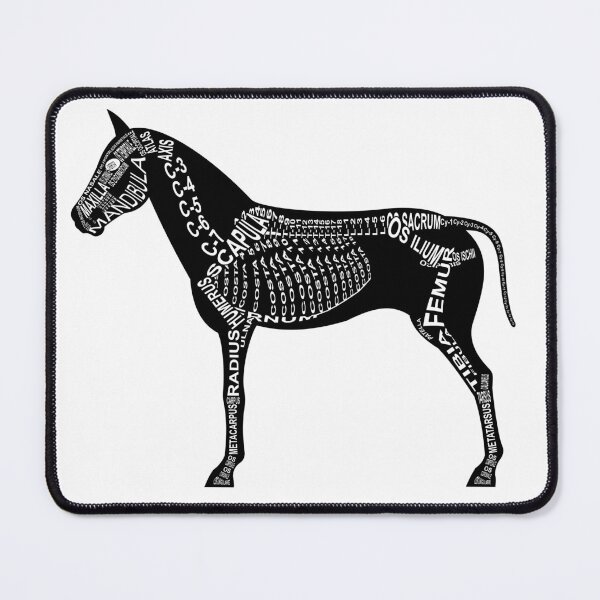 Item preview, Horse skeleton designed and sold by WortAnatomie.