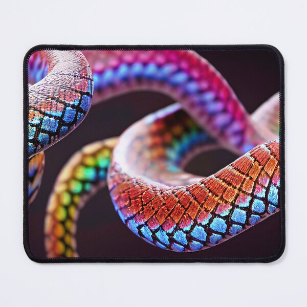 Item preview, rainbow boa, designed and sold by Aliveforfun.
