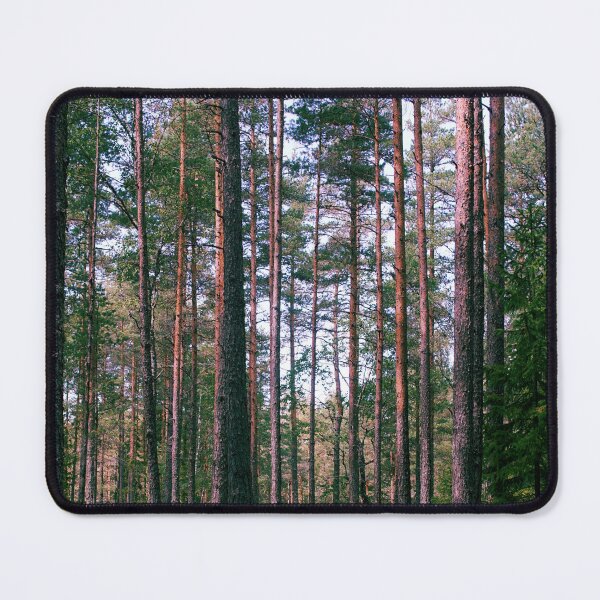 Item preview, Pine tree forest designed and sold by riku05830.