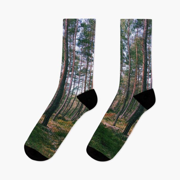 Item preview, Pine tree forest designed and sold by riku05830.