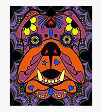 sugar skull bull dog Photographic Print
