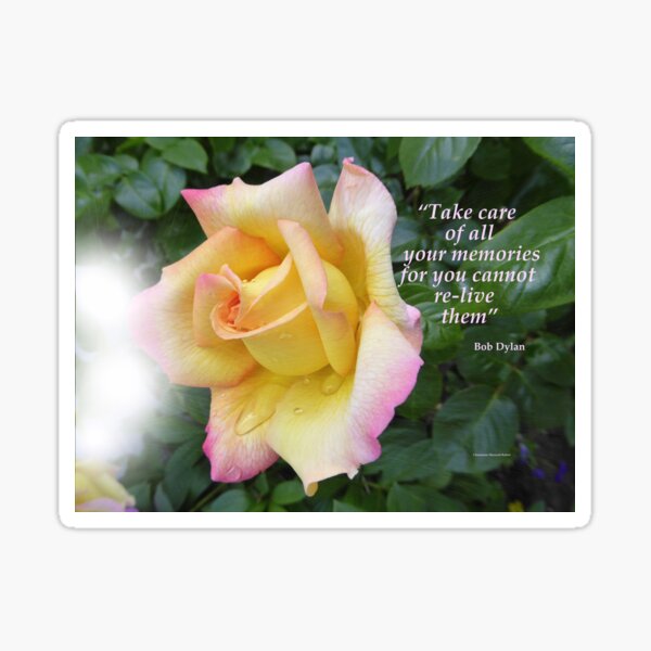 Your Memories Sticker