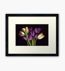 Purple and CreamTulip Bouquet Framed Print