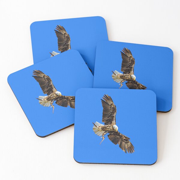 Item preview, Falconers Bald Eagle about to land designed and sold by Dalyndigital Photography.
