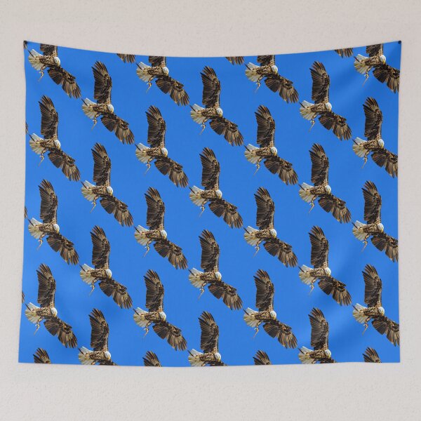 Item preview, Falconers Bald Eagle about to land designed and sold by Dalyndigital Photography.