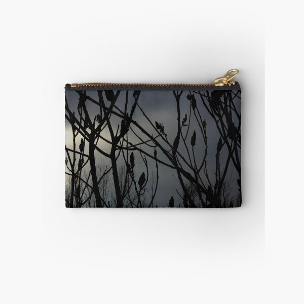 Item preview.