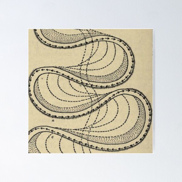 Item preview, River Formation Diagram designed and sold by BlueSpecsStudio.