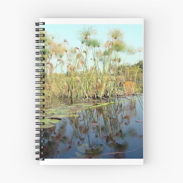 Item preview, Reflecting in the Okavango designed and sold by Graeme  Hyde.