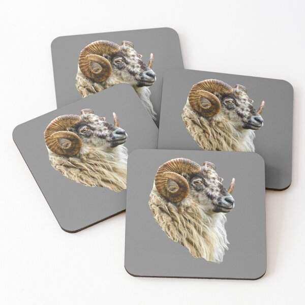 Item preview, Boreray Ram designed and sold by Dalyndigital Photography.