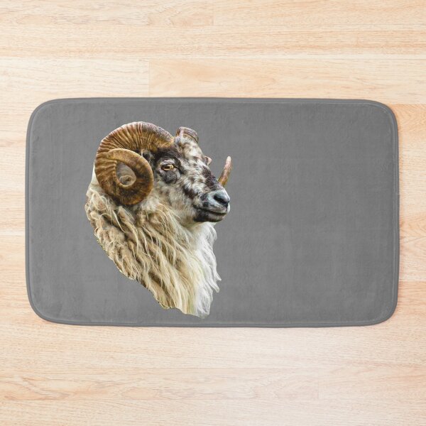 Item preview, Boreray Ram designed and sold by Dalyndigital Photography.
