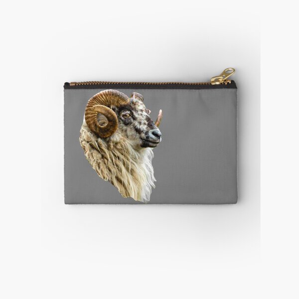 Item preview, Boreray Ram designed and sold by Dalyndigital Photography.