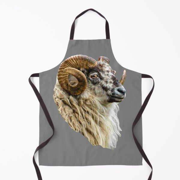 Item preview, Boreray Ram designed and sold by Dalyndigital Photography.