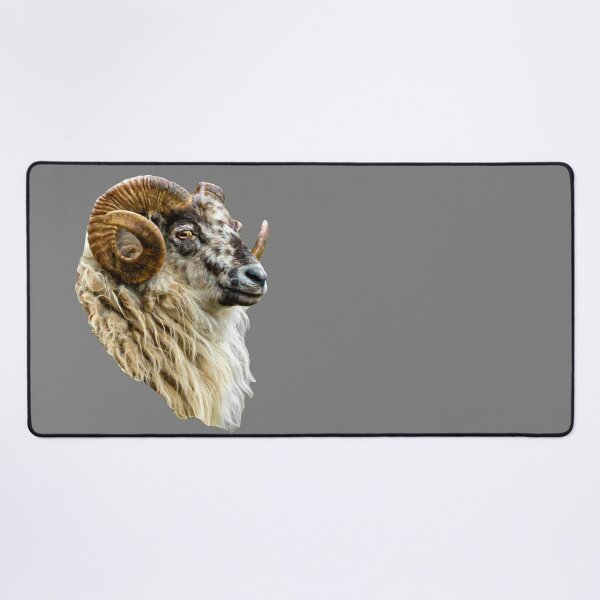 Item preview, Boreray Ram designed and sold by Dalyndigital Photography.
