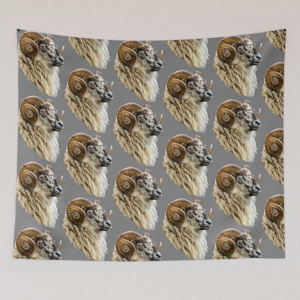 Item preview, Boreray Ram designed and sold by Dalyndigital Photography.